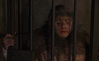 Frankensteins Höllenmonster - Screenshot