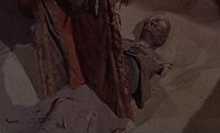 Der Fluch der Mumie - Screenshot
