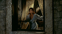 Virgin of Nuremberg - Screenshot